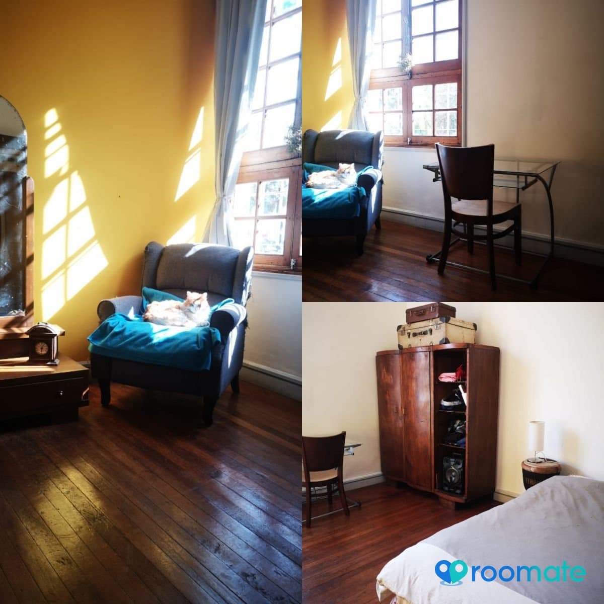 Comparto Loft en barrio Yungay